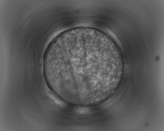 X0000092091035200710101057
