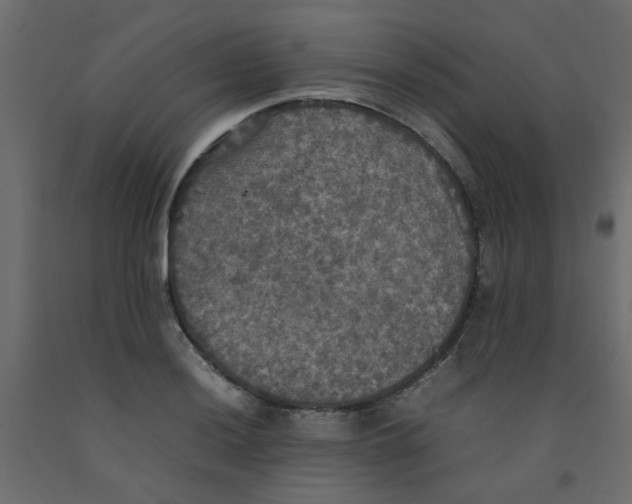 X0000092091036200710101057
