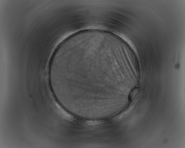 X0000092091037200710101057