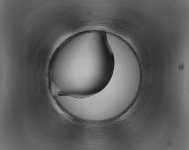 X0000092091038200710101057