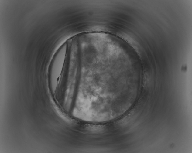 X0000092091039200710101057