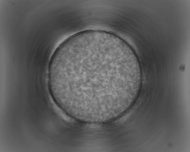 X0000092091040200710101057