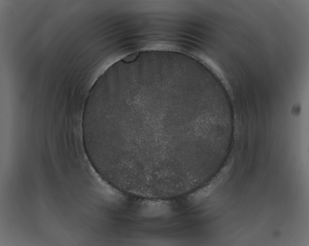 X0000092091041200710101057
