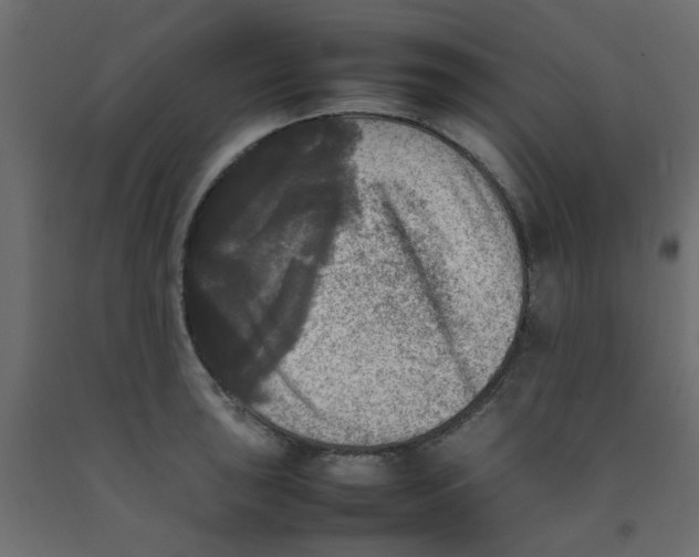 X0000092091043200710101057