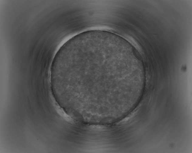 X0000092091044200710101057