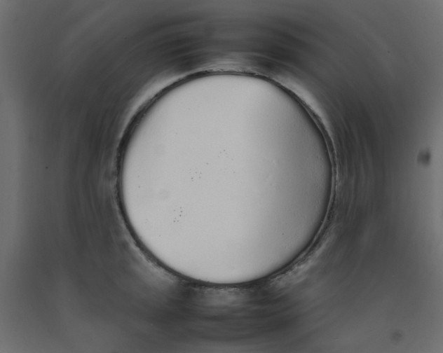 X0000092091045200710101057
