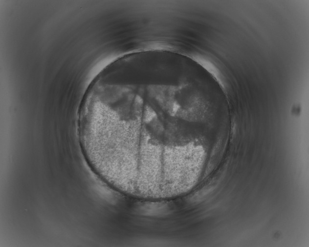 X0000092091047200710101057