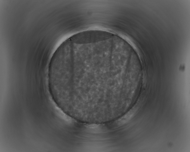 X0000092091048200710101057