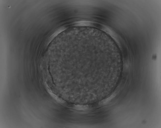 X0000092091049200710101057