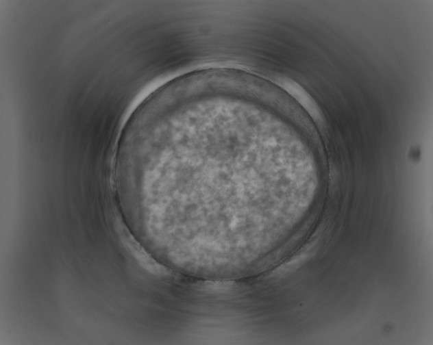 X0000092091052200710101057