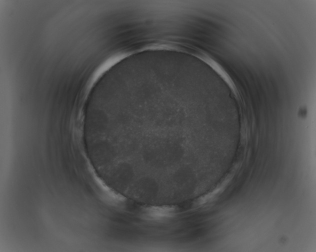 X0000092091053200710101057