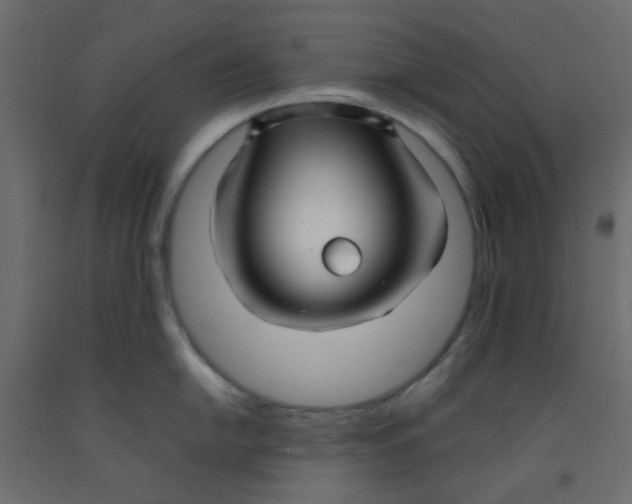 X0000092091054200710101057