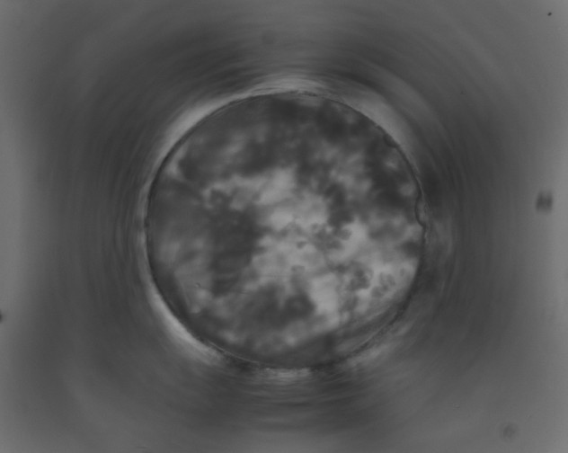 X0000092091055200710101057