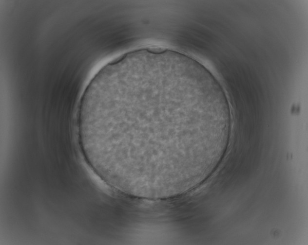 X0000092091056200710101057