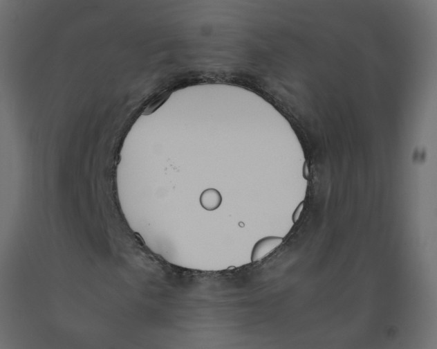 X0000092091057200710101056