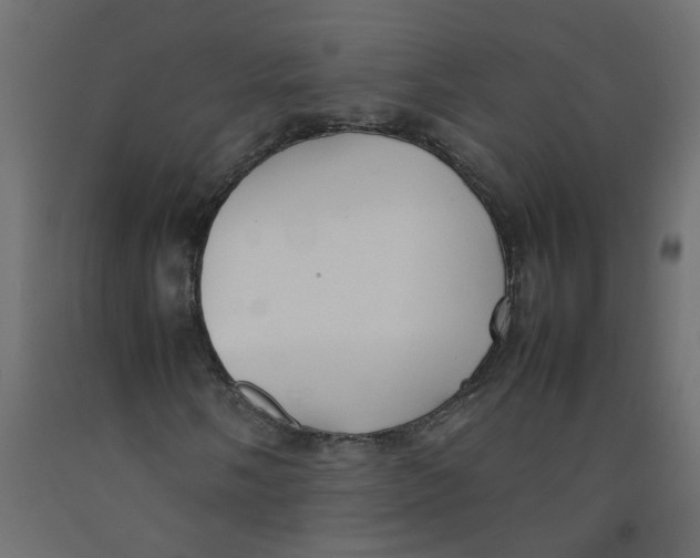 X0000092091058200710101056