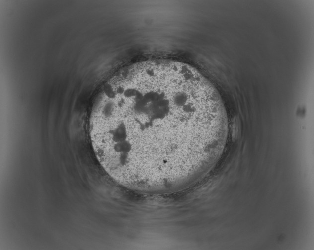 X0000092091059200710101056
