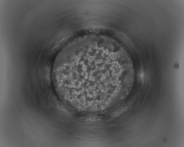 X0000092091060200710101056