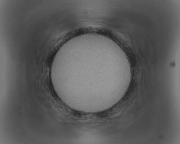 X0000092091061200710101056