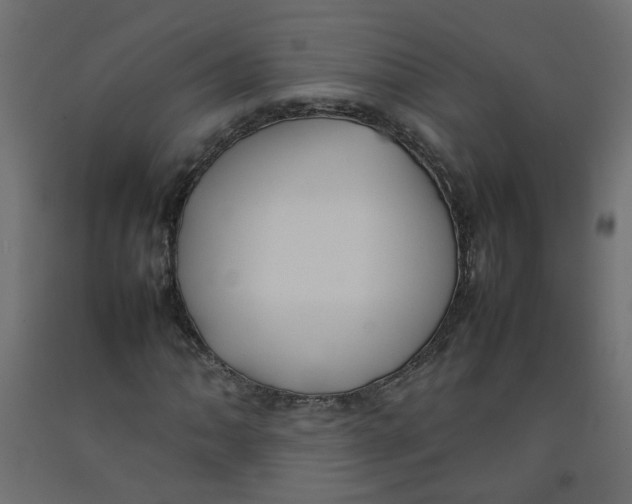 X0000092091062200710101056