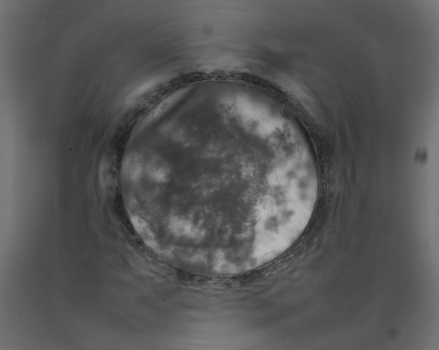 X0000092091063200710101056