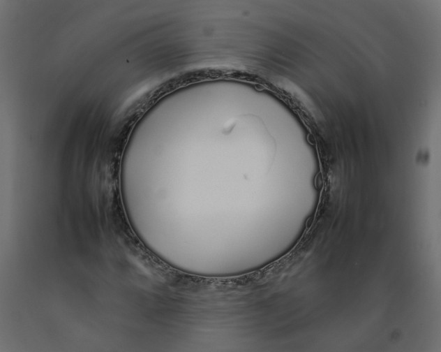 X0000092091064200710101056
