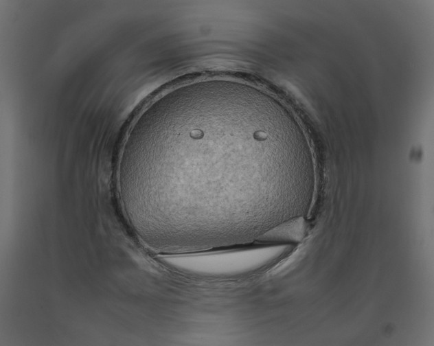 X0000092091065200710101056