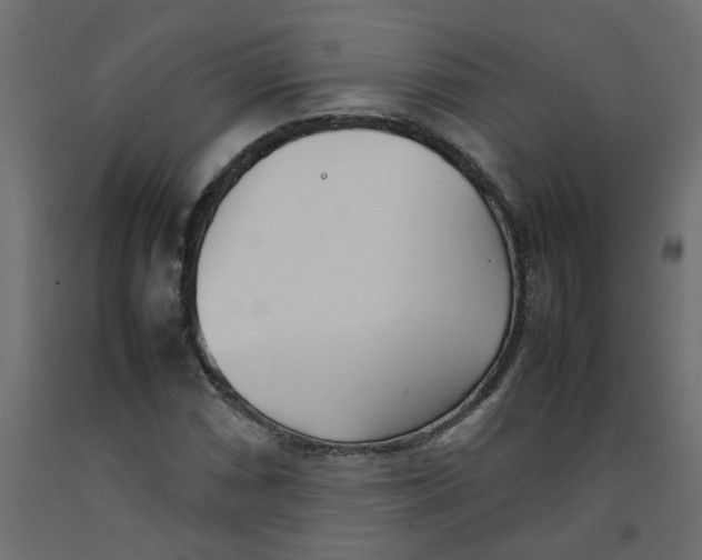 X0000092091066200710101056
