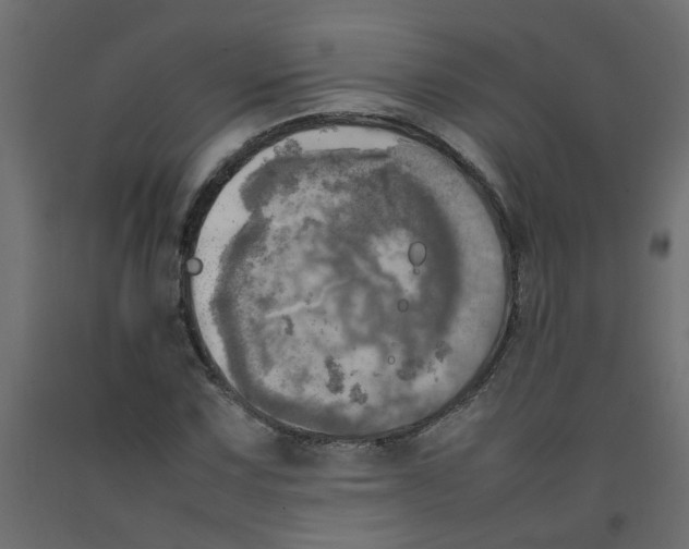 X0000092091067200710101056