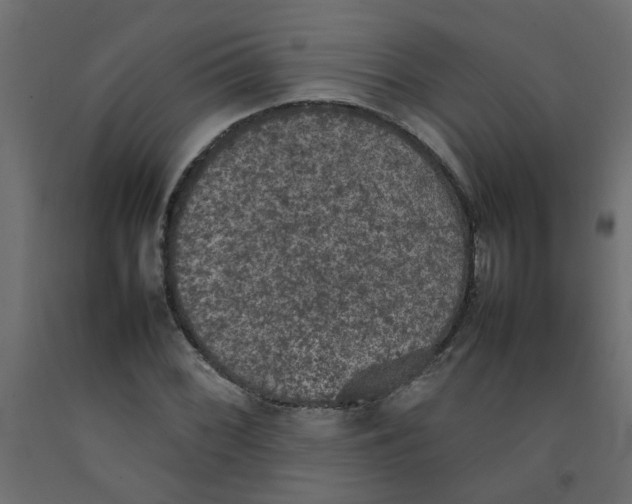 X0000092091068200710101056