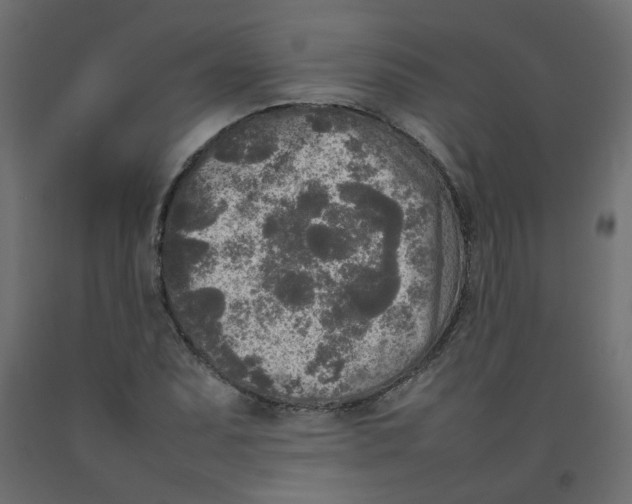 X0000092091071200710101056