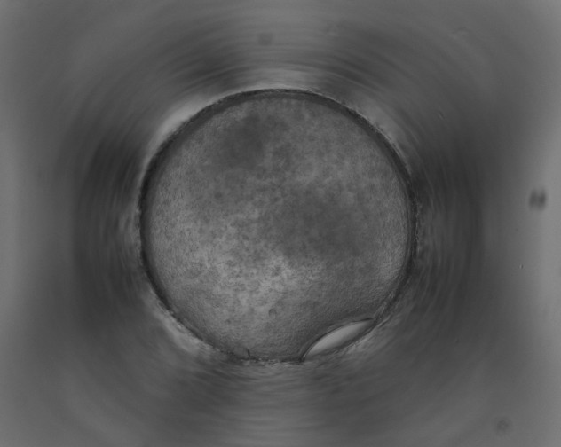 X0000092091072200710101056