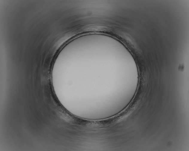 X0000092091073200710101056