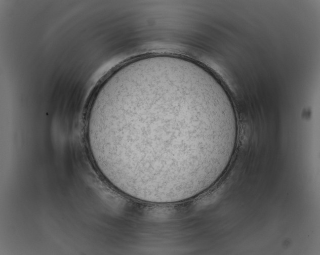 X0000092091074200710101056