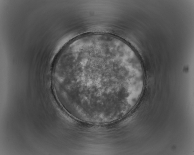 X0000092091075200710101056