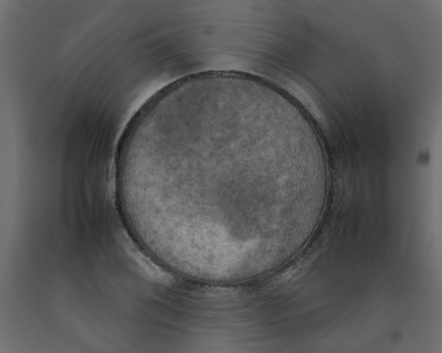 X0000092091076200710101056