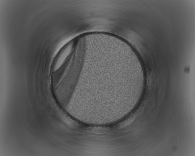 X0000092091077200710101056