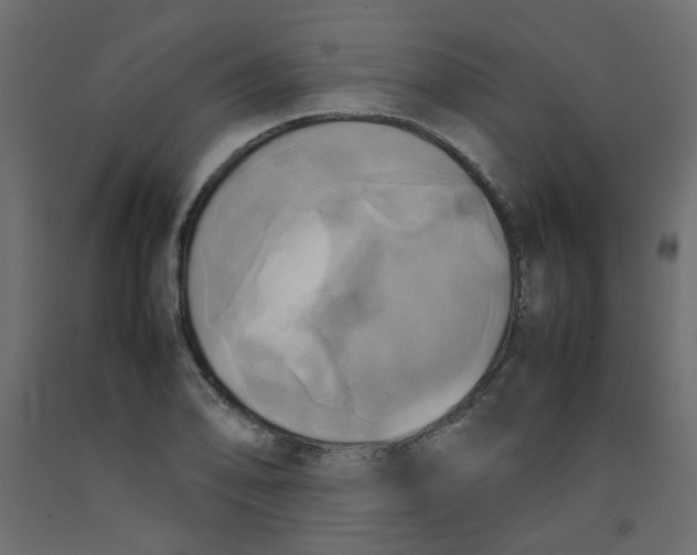 X0000092091078200710101056