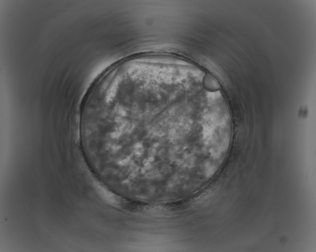 X0000092091079200710101056