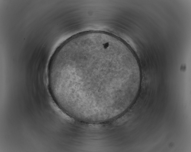 X0000092091080200710101056