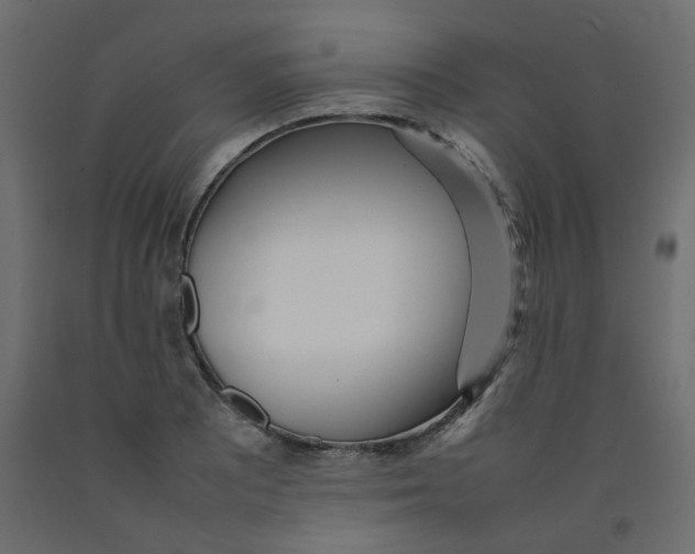 X0000092091081200710101056