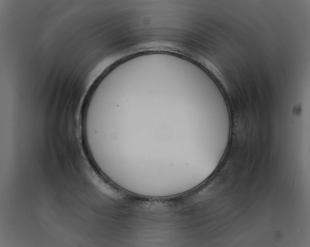 X0000092091082200710101056