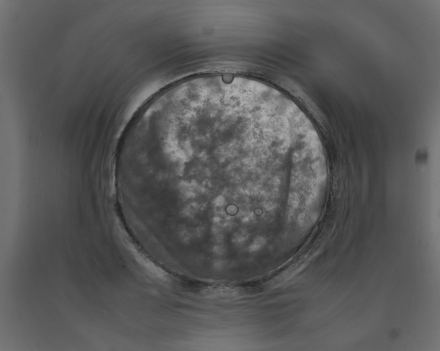X0000092091083200710101056