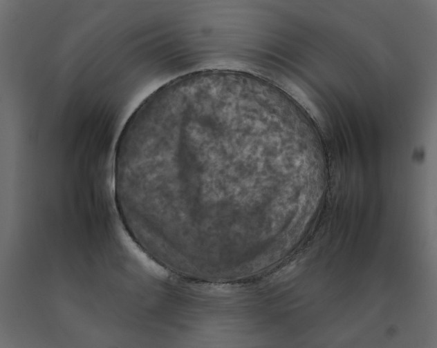 X0000092091084200710101056