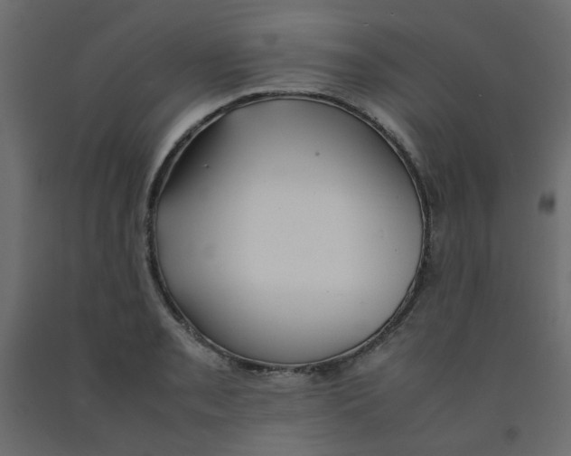 X0000092091085200710101056