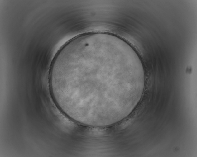 X0000092091086200710101056