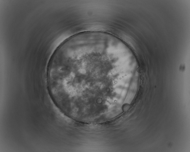 X0000092091087200710101056