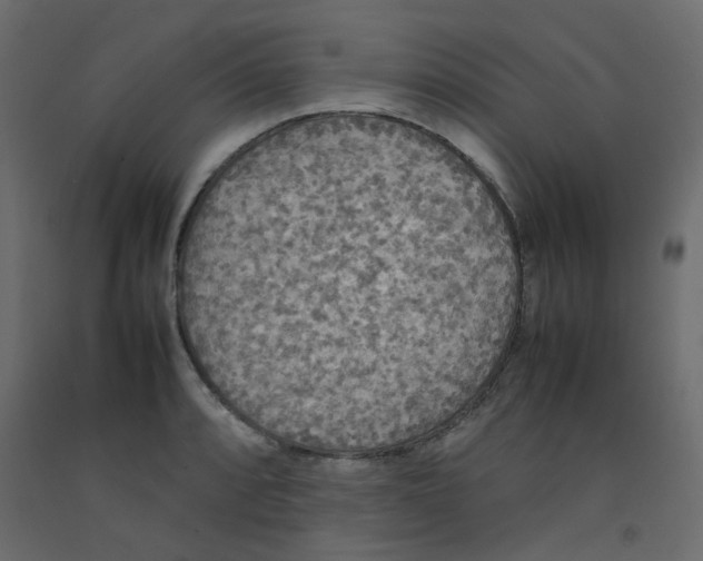 X0000092091088200710101056