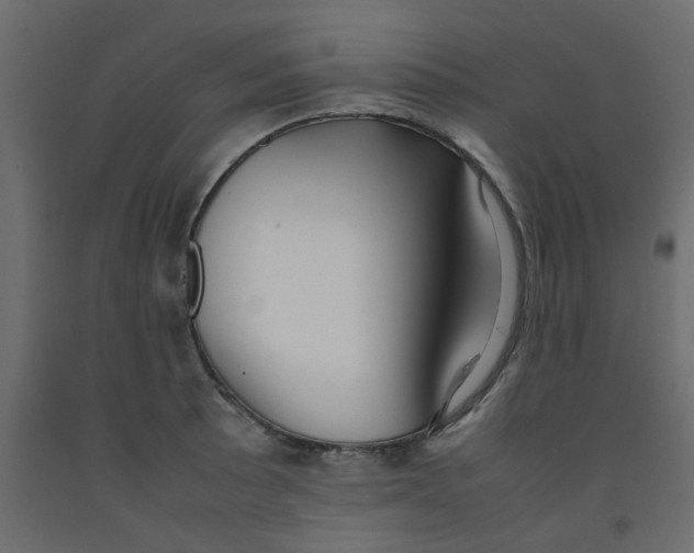 X0000092091089200710101056