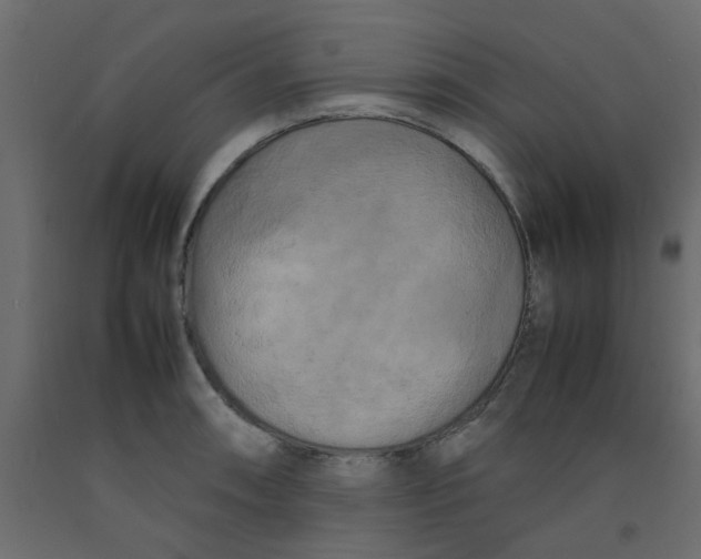X0000092091090200710101056